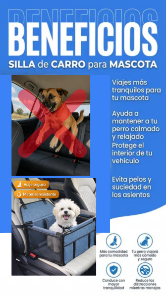 Imagen del banner